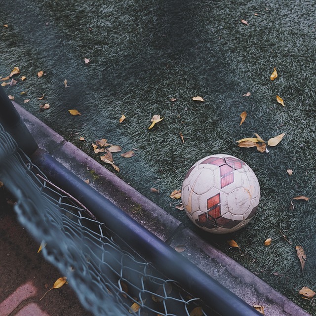謂NWSL
